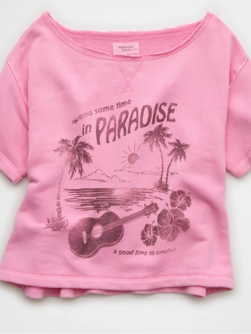 American Eagle Outfitters Pink Paradise Graphic Short Sleeve Tee